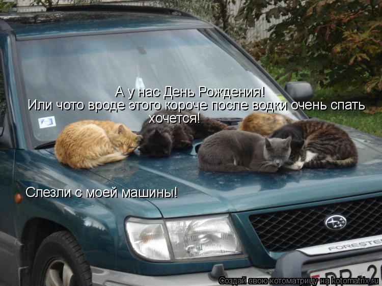 Котоматрица: Слезли с моей машины! А у нас День Рождения! Или чото вроде этого короче после водки очень спать хочется!