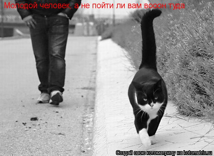 Котоматрица: Молодой человек, а не пойти ли вам вооон туда