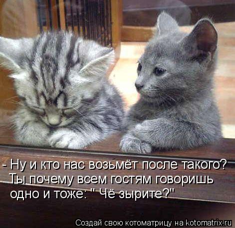 Котоматрица: - Ну и кто нас возьмёт после такого? Ты почему всем гостям говоришь одно и тоже: " Чё зырите?"