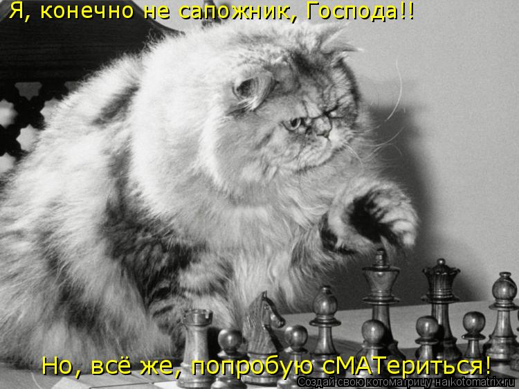 Котоматрица: Я, конечно не сапожник, Господа!! Но, всё же, попробую сМАТериться!