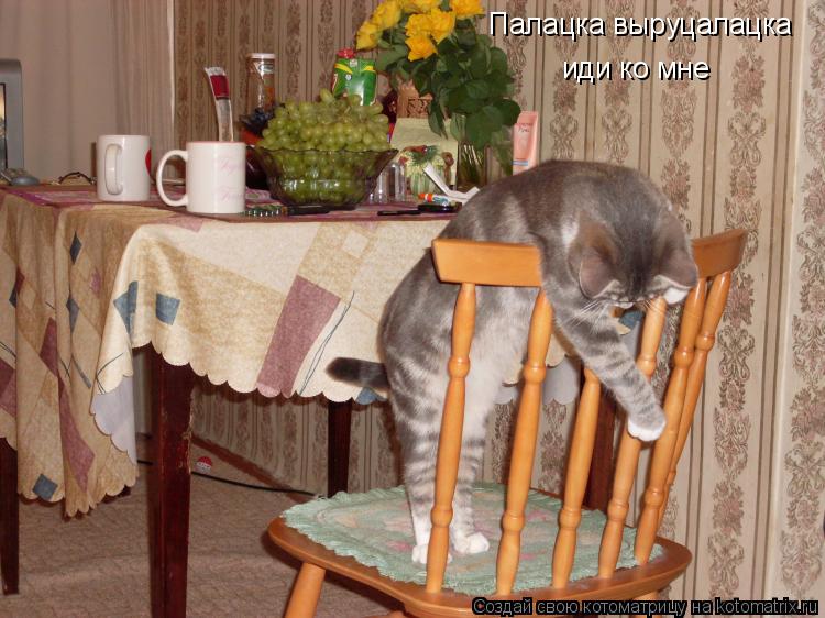 Котоматрица: Палацка выруцалацка иди ко мне