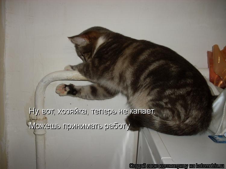 Котоматрица: Можешь принимать работу. Ну, вот, хозяйка, теперь не капает.