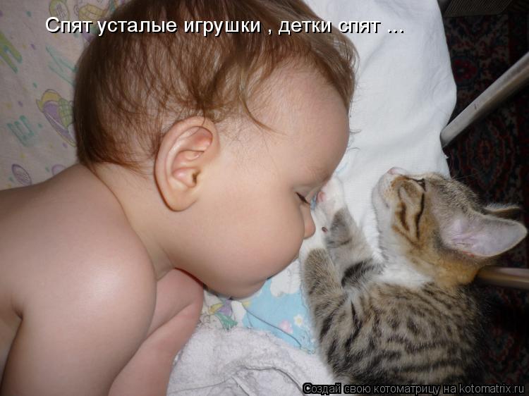 Котоматрица: Спят усталые игрушки , детки спят ...
