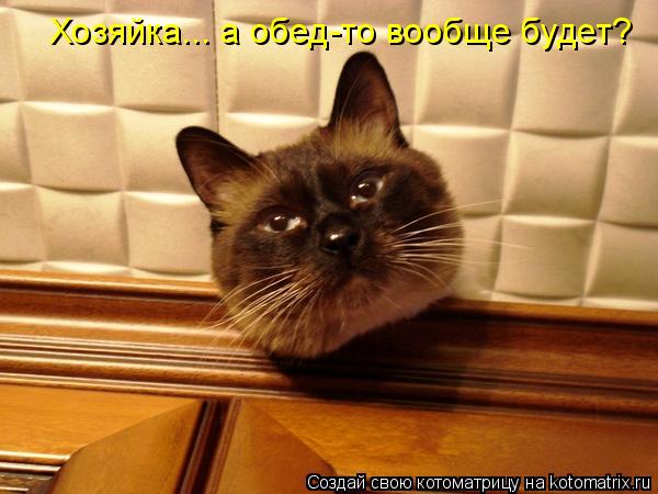 Котоматрица: Хозяйка... а обед-то вообще будет?