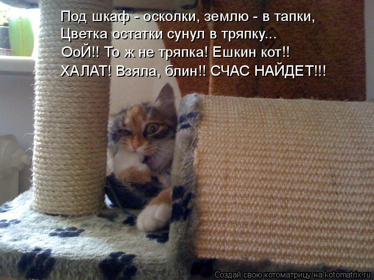 Котоматрица: Под шкаф - осколки, землю - в тапки, Цветка остатки сунул в тряпку... ОоЙ!! То ж не тряпка! Ешкин кот!! ХАЛАТ! Взяла, блин!! СЧАС НАЙДЕТ!!!
