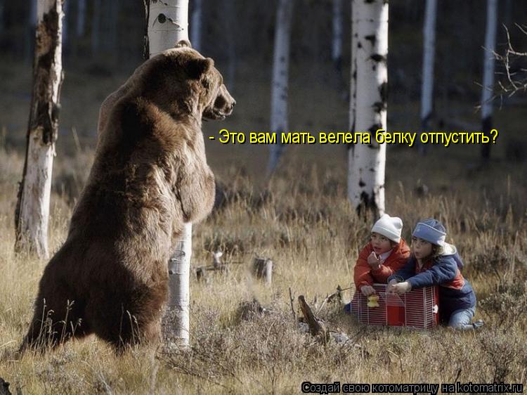 - Это вам мать велела белку отпустить?... Котоматрица: - Это вам мать велела белку отпустить?