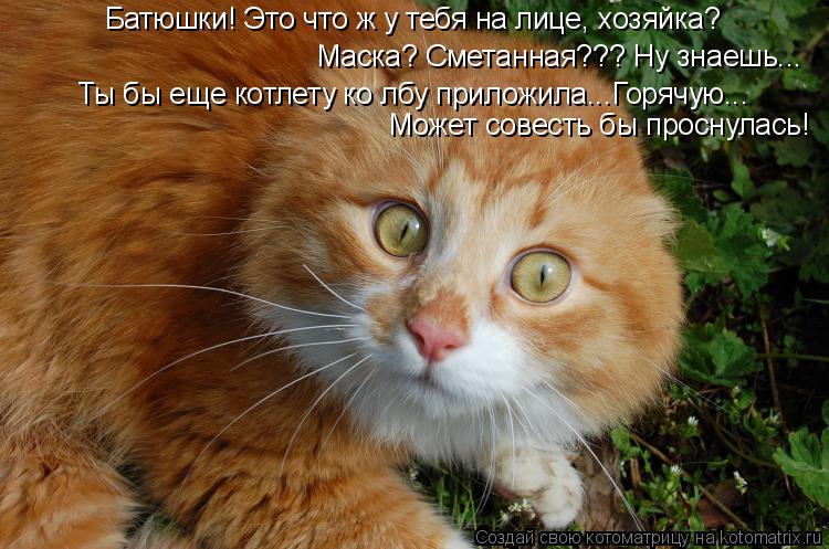 Котоматрица: Батюшки! Это что ж у тебя на лице, хозяйка?  Маска? Сметанная??? Ну знаешь... Ты бы еще котлету ко лбу приложила...Горячую... Может совесть бы прос
