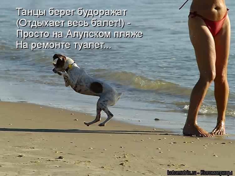 Танцы берег будоражат (Отдыхает весь балет!) - Просто на Алупском пляже На ремонте туалет...... Котоматрица: Танцы берег будоражат (Отдыхает весь балет!) - Просто на Алупском пляже На ремонте туалет...
