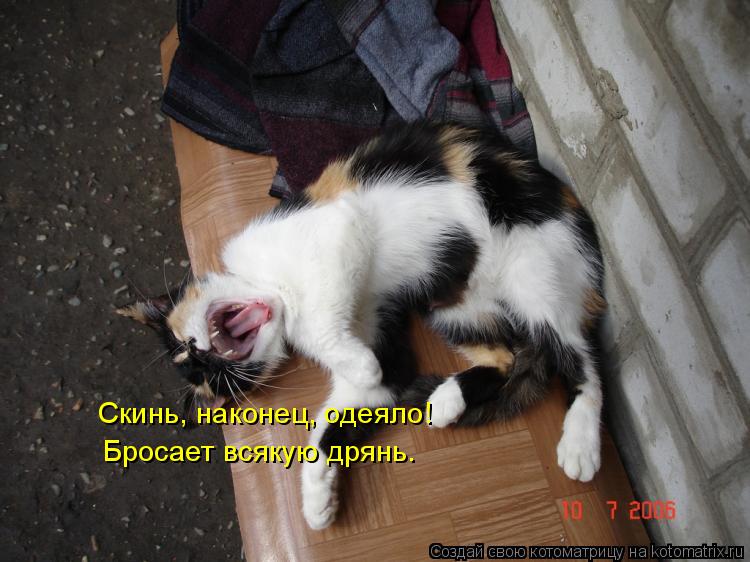 Котоматрица: Скинь, наконец, одеяло! Бросает всякую дрянь.