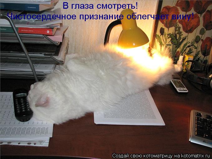 Котоматрица: В глаза смотреть! Чистосердечное признание облегчает вину!