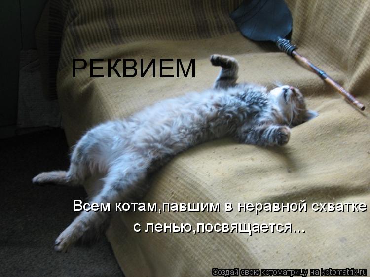 РЕКВИЕМ Всем котам,павшим в неравной схватке с ленью,посвящается...... Котоматрица: РЕКВИЕМ Всем котам,павшим в неравной схватке с ленью,посвящается...