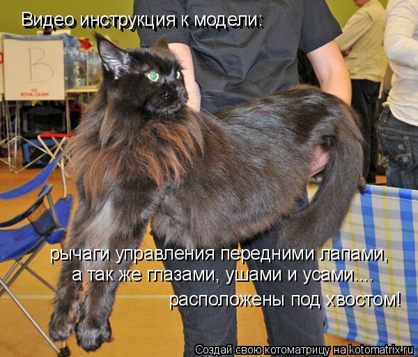 Котоматрица: Видео инструкция к модели: Видео инструкция к модели: рычаги управления передними лапами,  а так же глазами, ушами и усами.... расположены под