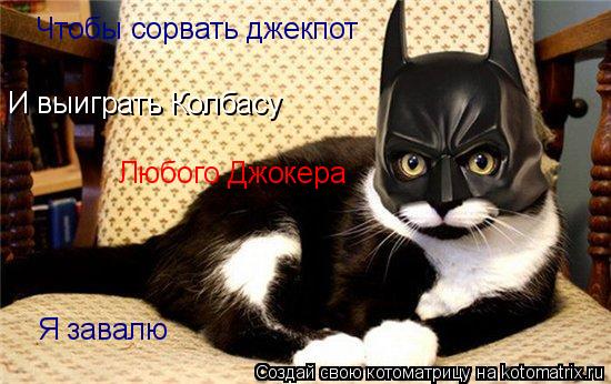 Котоматрица: И выиграть Колбасу Чтобы сорвать джекпот Любого Джокера Я завалю