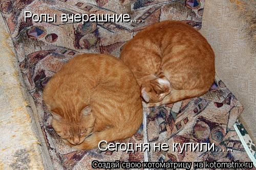 Котоматрица: Сегодня не купили..... Ролы вчерашние....