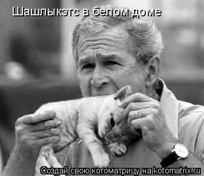 Шашлыкэтс в белом доме... Котоматрица: Шашлыкэтс в белом доме