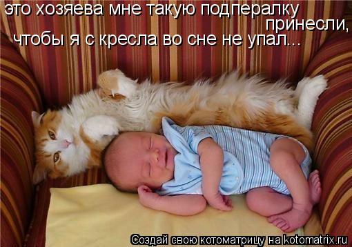 это хозяева мне такую подпералку принесли, чтобы я с кресла во сне не упал...... Котоматрица: это хозяева мне такую подпералку принесли, чтобы я с кресла во сне не упал...