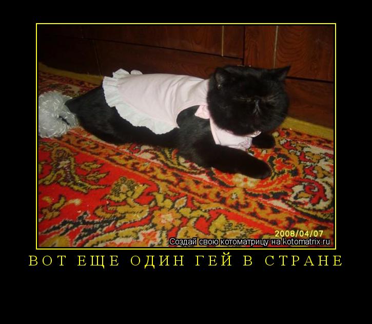 Котоматрица:  