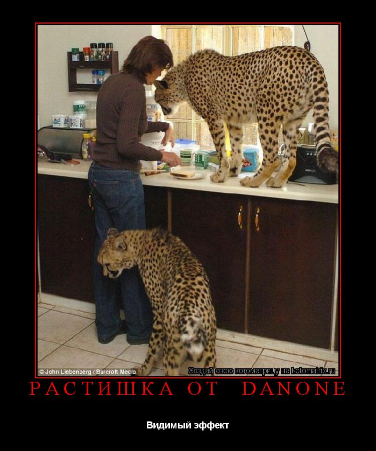 Котоматрица: Растишка от  Danone Видимый эффект