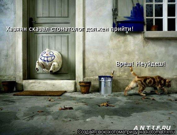 Хазяин сказал стоматолог должен прийти! Вреш! Неуйдеш!... Котоматрица: Хазяин сказал стоматолог должен прийти! Вреш! Неуйдеш!
