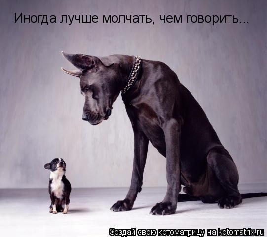 Иногда лучше молчать, чем говорить Иногда лучше молчать, чем говорить...... Котоматрица: Иногда лучше молчать, чем говорить Иногда лучше молчать, чем говорить...