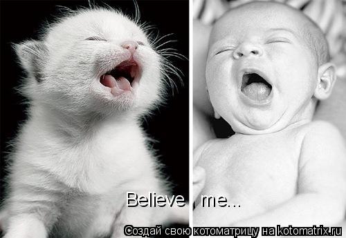 Котоматрица: Believe   me...
