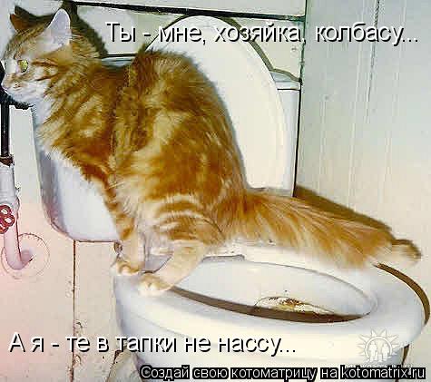 Ты - мне, хозяйка, колбасу... А я - те в тапки не нассу...... Котоматрица: Ты - мне, хозяйка, колбасу... А я - те в тапки не нассу...