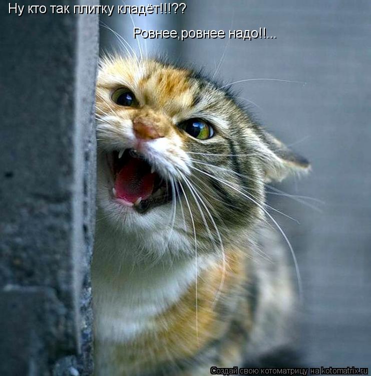 Ну кто так плитку кладёт!!!?? Ровнее,ровнее надо!!...... Котоматрица: Ну кто так плитку кладёт!!!?? Ровнее,ровнее надо!!...