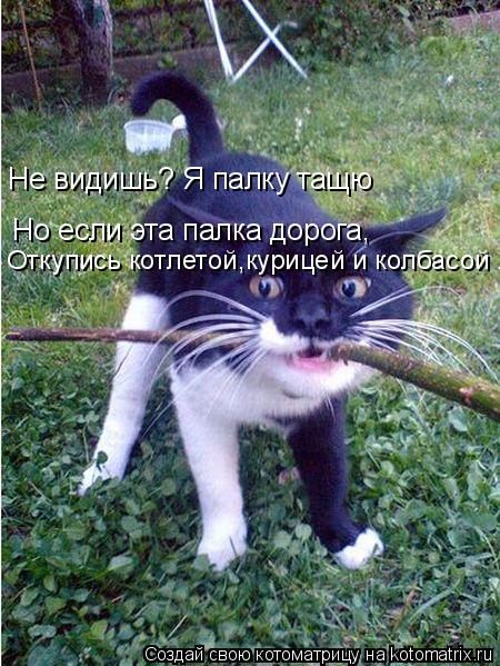 Котоматрица: Не видишь? Я палку тащю Но если эта палка дорога, Откупись котлетой,курицей и колбасой .
