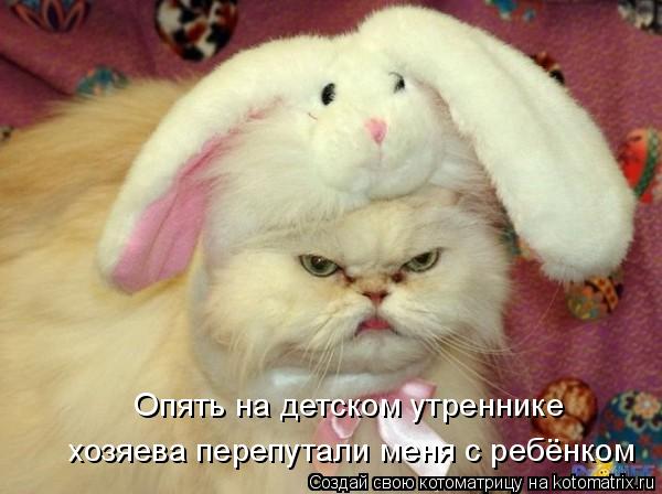 Котоматрица: Опять на детском утреннике  хозяева перепутали меня с ребёнком