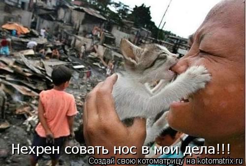 Котоматрица: Нехрен совать нос в мои дела!!!
