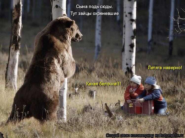 Сына подь сюды. Тут зайцы охреневшие Какая белочка!!! Летяга наверно!... Котоматрица: Сына подь сюды. Тут зайцы охреневшие Какая белочка!!! Летяга наверно!