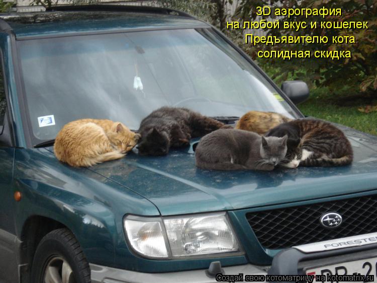 Котоматрица: 3D аэрография на любой вкус и кошелек Предъявителю кота солидная скидка