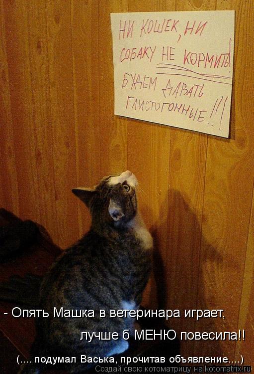 лучше б МЕНЮ повесила!! - Опять Машка в ветеринара играет, (.... подумал Васька, прочитав объявление.... Котоматрица: лучше б МЕНЮ повесила!! - Опять Машка в ветеринара играет, (.... подумал Васька, прочитав объявление....)