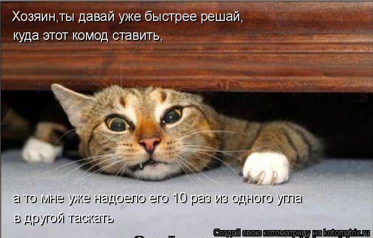 Хозяин,ты давай уже быстрее решай, куда этот комод ставить, а то мне уже надоело его 10 раз из одного... Котоматрица: Хозяин,ты давай уже быстрее решай, куда этот комод ставить, а то мне уже надоело его 10 раз из одного угла в другой таскать