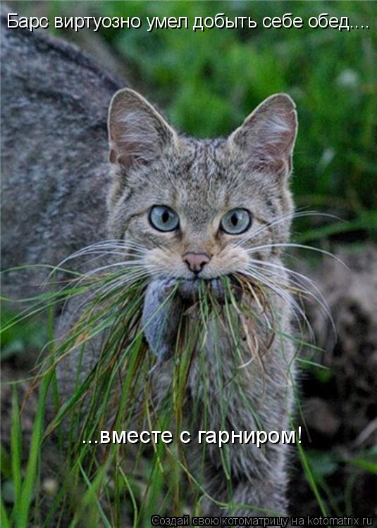 Котоматрица: Барс виртуозно умел добыть себе обед.... ...вместе с гарниром!