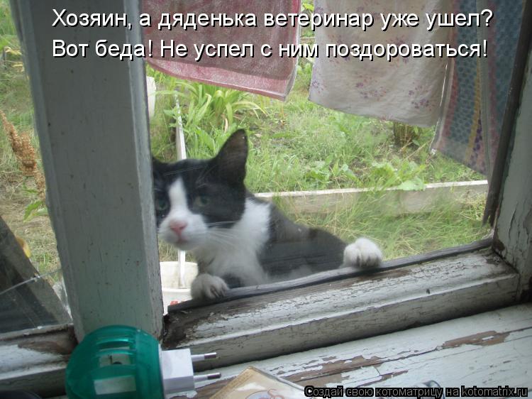 Котоматрица: Хозяин, а дяденька ветеринар уже ушел?  Вот беда! Не успел с ним поздороваться!