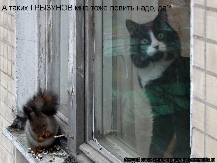 Котоматрица: А таких ГРЫЗУНОВ мне тоже ловить надо, да?
