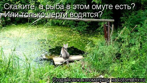 Котоматрица: Скажите, а рыба в этом омуте есть? Или только черти водятся?