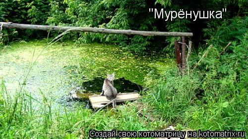 Котоматрица: "Мурёнушка"