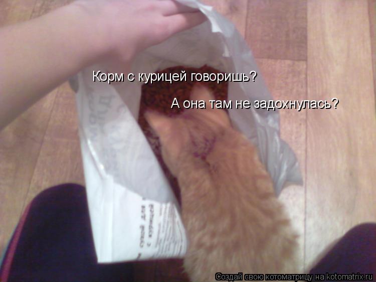 Котоматрица: Корм с курицей говоришь? А она там не задохнулась?