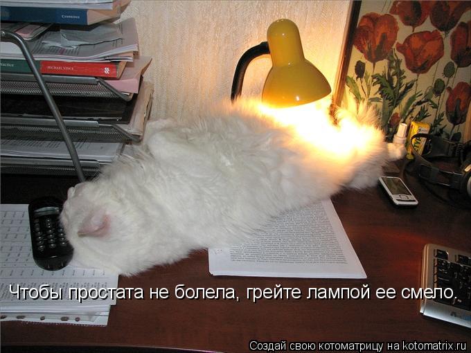 Котоматрица: Чтобы простата не болела, грейте лампой ее смело.