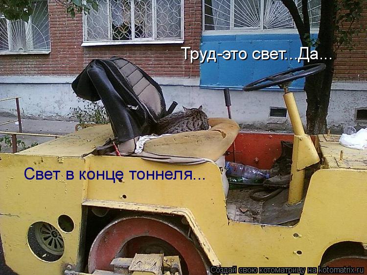 Котоматрица: Труд-это свет...Да... Свет в конце тоннеля...
