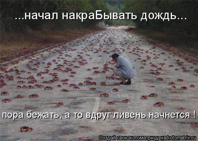 ...начал накраБывать дождь... пора бежать, а то вдруг ливень начнется !... Котоматрица: ...начал накраБывать дождь... пора бежать, а то вдруг ливень начнется !