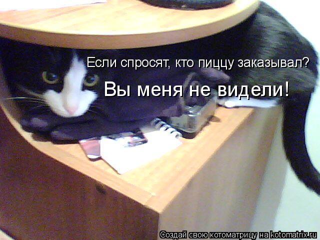 Котоматрица: Если спросят, кто пиццу заказывал? Вы меня не видели!