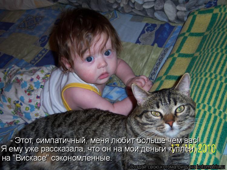 Котоматрица: - Этот, симпатичный, меня любит больше чем вас! Я ему уже рассказала, что он на мои деньги куплен, на "Вискасе" сэкономленные.