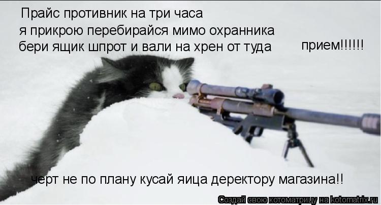 Котоматрица: Прайс противник на три часа я прикрою перебирайся мимо охранника бери ящик шпрот и вали на хрен от туда прием!!!!!! черт не по плану кусай яица
