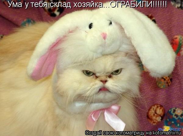 Котоматрица: Ума у тебя склад хозяйка...ОГРАБИЛИ!!!!!!