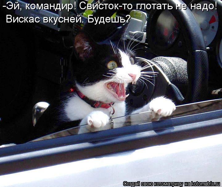 -Эй, командир! Свисток-то глотать не надо! Вискас вкусней. Будешь?... Котоматрица: -Эй, командир! Свисток-то глотать не надо! Вискас вкусней. Будешь?