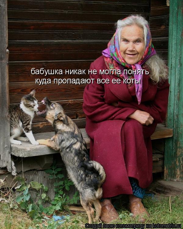 бабушка никак не могла понять куда пропадают все ее коты... Котоматрица: бабушка никак не могла понять куда пропадают все ее коты