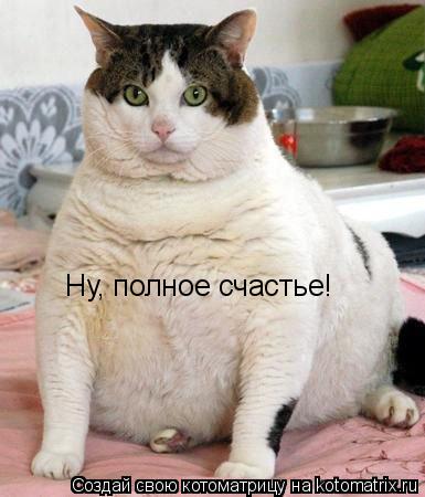 Ну, полное счастье!... Котоматрица: Ну, полное счастье!